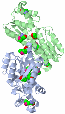 Image Biological Unit 2