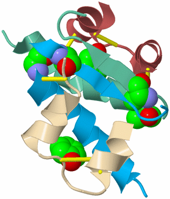 Image Biological Unit 4