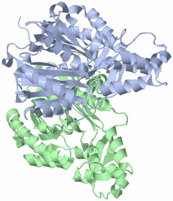 Image Asym./Biol. Unit