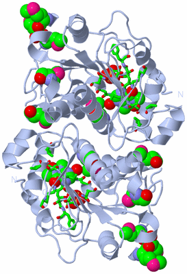 Image Biol. Unit 1 - sites