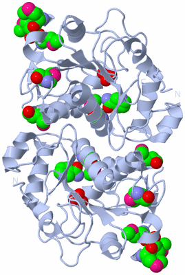 Image Biological Unit 1