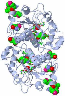 Image Biol. Unit 1 - sites