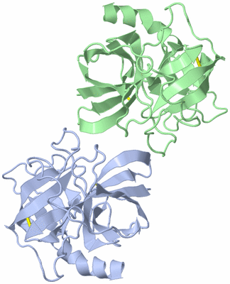 Image Asym./Biol. Unit