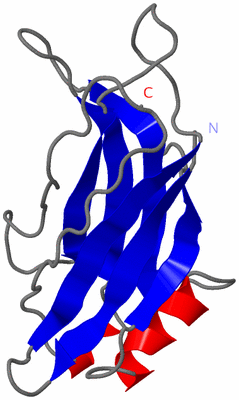 Image NMR Structure - model 1