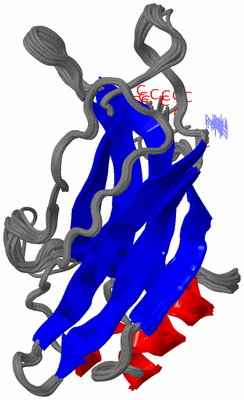 Image NMR Structure - all models