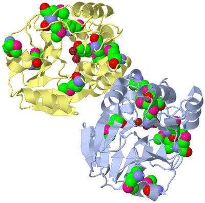 Image Biological Unit 1