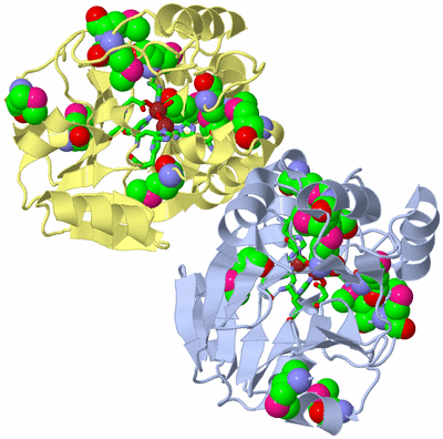 Image Biol. Unit 1 - sites