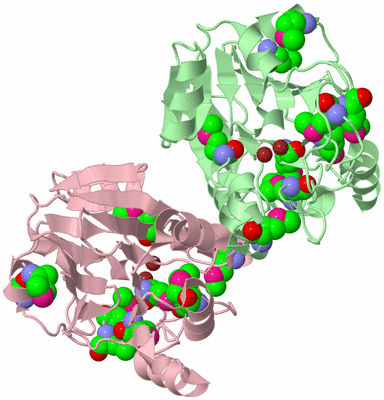 Image Biological Unit 2