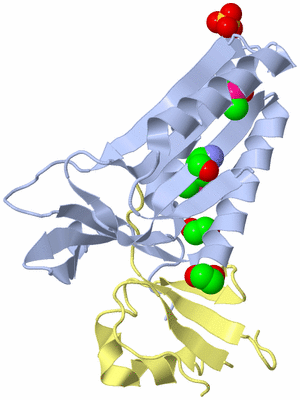 Image Biological Unit 2