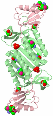 Image Biological Unit 3