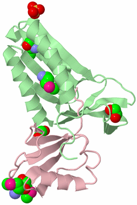 Image Biological Unit 4