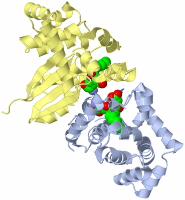 Image Biological Unit 1