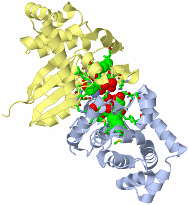 Image Biol. Unit 1 - sites