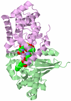 Image Biological Unit 2