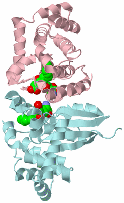 Image Biological Unit 3