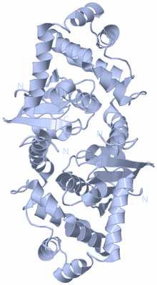 Image Biological Unit 1