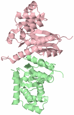 Image Biological Unit 2