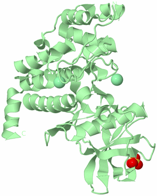 Image Biological Unit 2