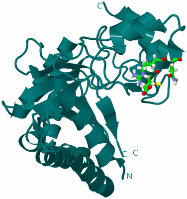 Image Biol. Unit 1 - sites