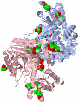 Image Biological Unit 1