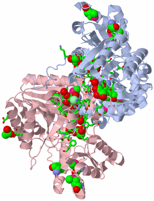 Image Biol. Unit 1 - sites