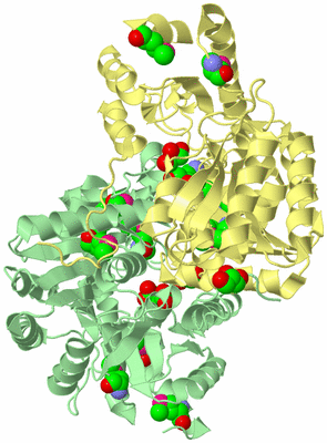 Image Biological Unit 2