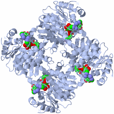 Image Biological Unit 1