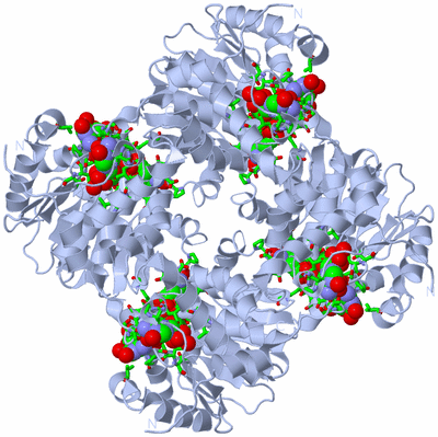 Image Biol. Unit 1 - sites