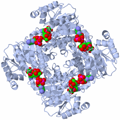 Image Biological Unit 1