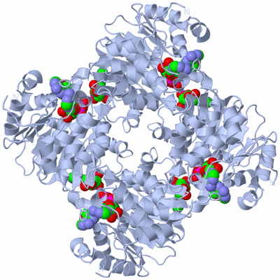 Image Biological Unit 1