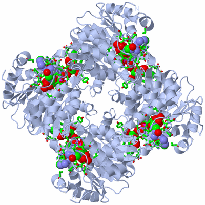 Image Biol. Unit 1 - sites