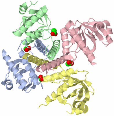 Image Asym./Biol. Unit