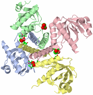 Image Asym./Biol. Unit - sites