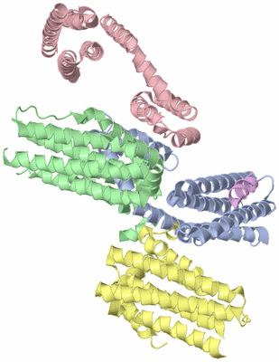 Image Biological Unit 4