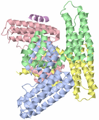 Image Biological Unit 2