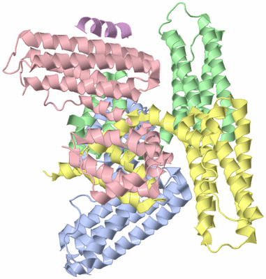 Image Biological Unit 3