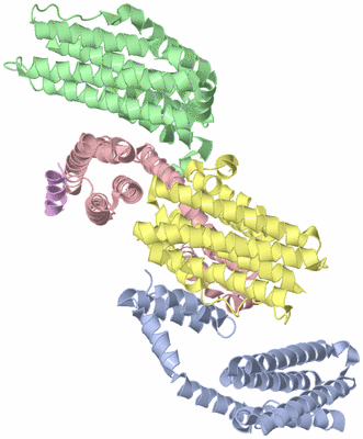 Image Biological Unit 4