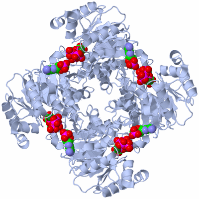 Image Biological Unit 1