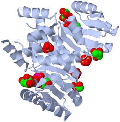 Image Biological Unit 1