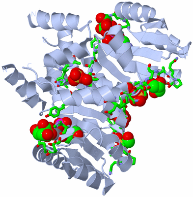 Image Biol. Unit 1 - sites