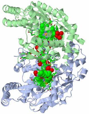 Image Asym./Biol. Unit - sites