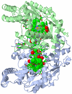 Image Asym./Biol. Unit - sites