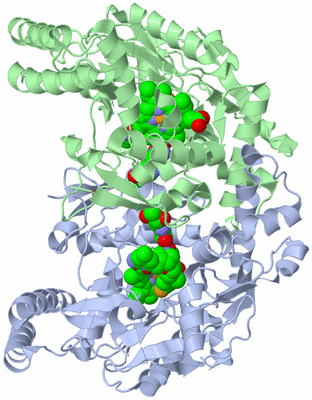 Image Asym./Biol. Unit