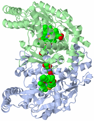 Image Asym./Biol. Unit