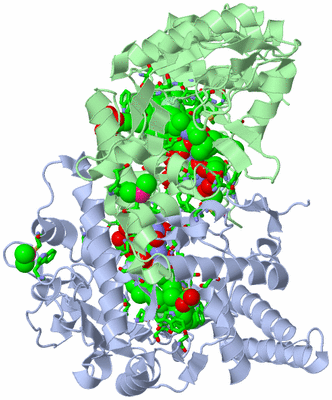 Image Asym./Biol. Unit - sites