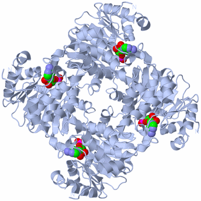 Image Biological Unit 1