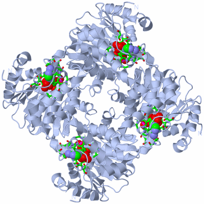 Image Biol. Unit 1 - sites