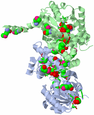 Image Asym./Biol. Unit - sites