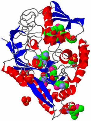 Image Asym./Biol. Unit