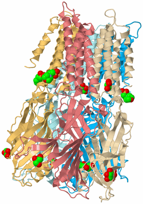 Image Biological Unit 2